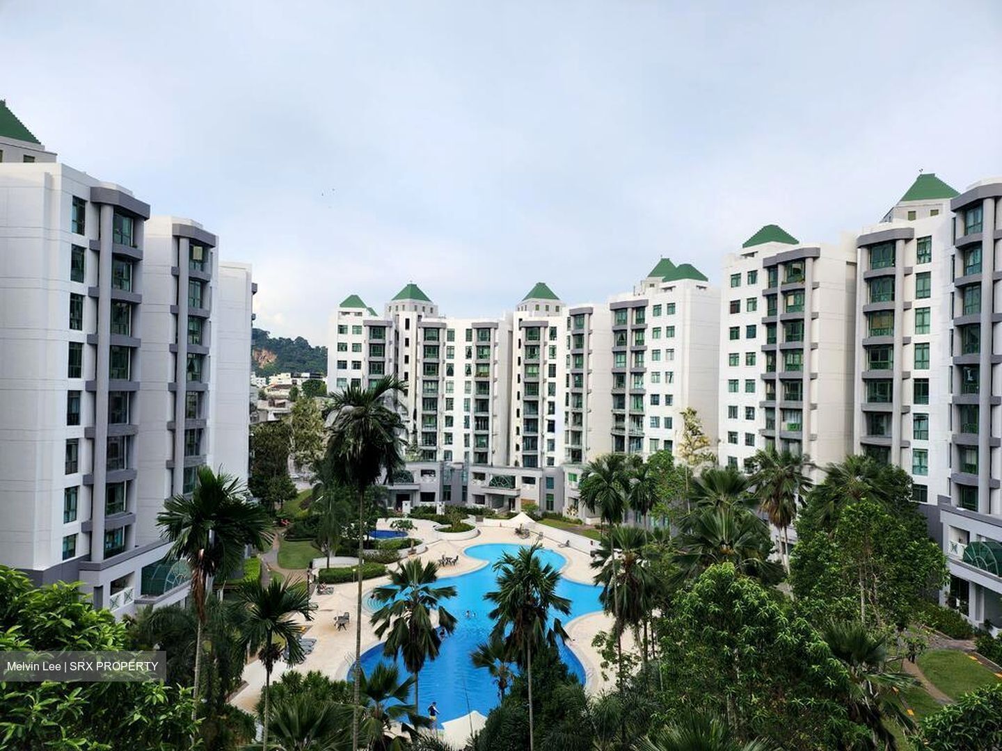 Signature Park (D21), Condominium #496774291